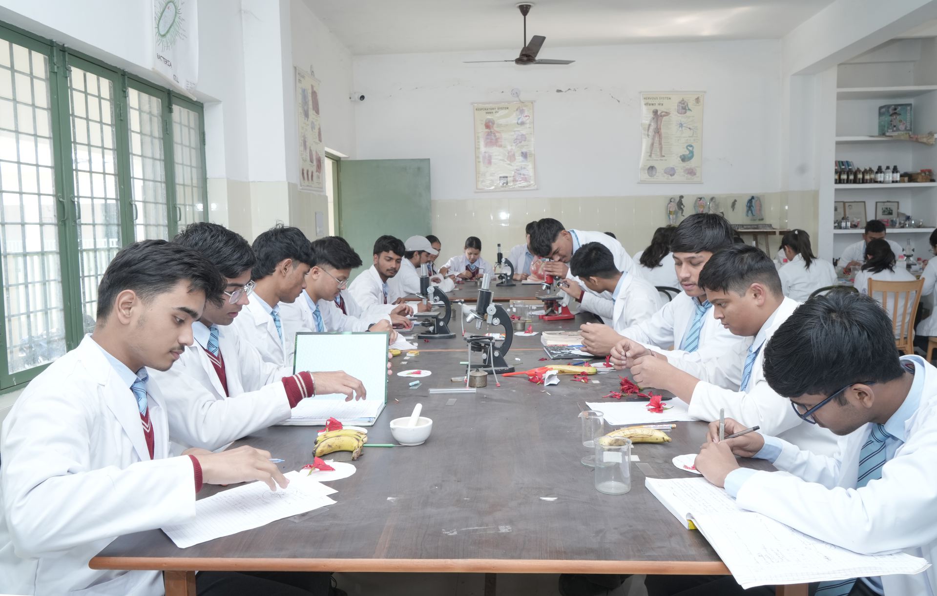 Students performing practical work in the biology laboratory