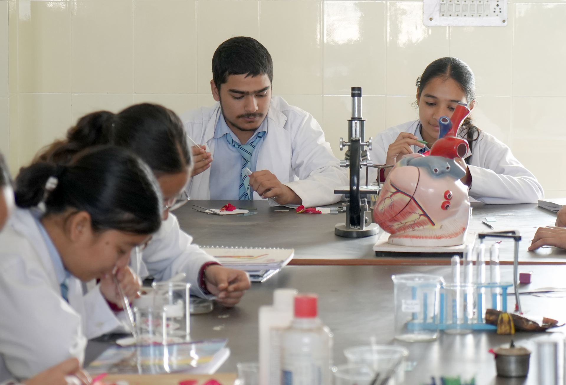 Students conducting experiments in the science laboratory